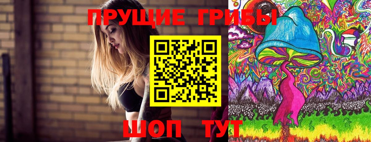 купить закладку  Вход с VPN  Михайловка  Псилоцибиновые грибы мицелий 