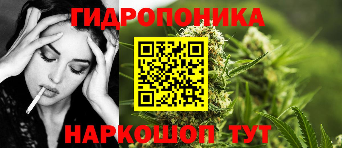 Каннабис планчик Михайловка